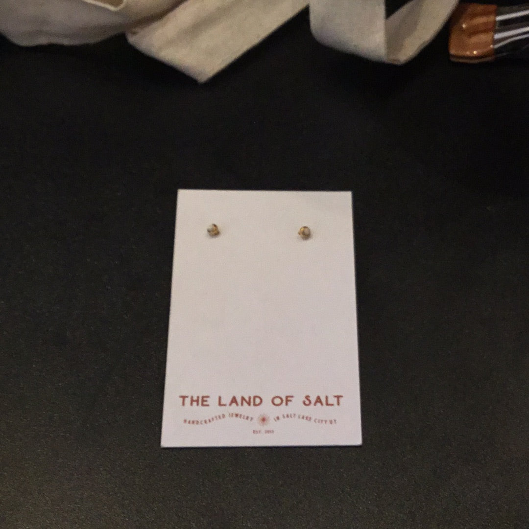 The land of salt stud earrings