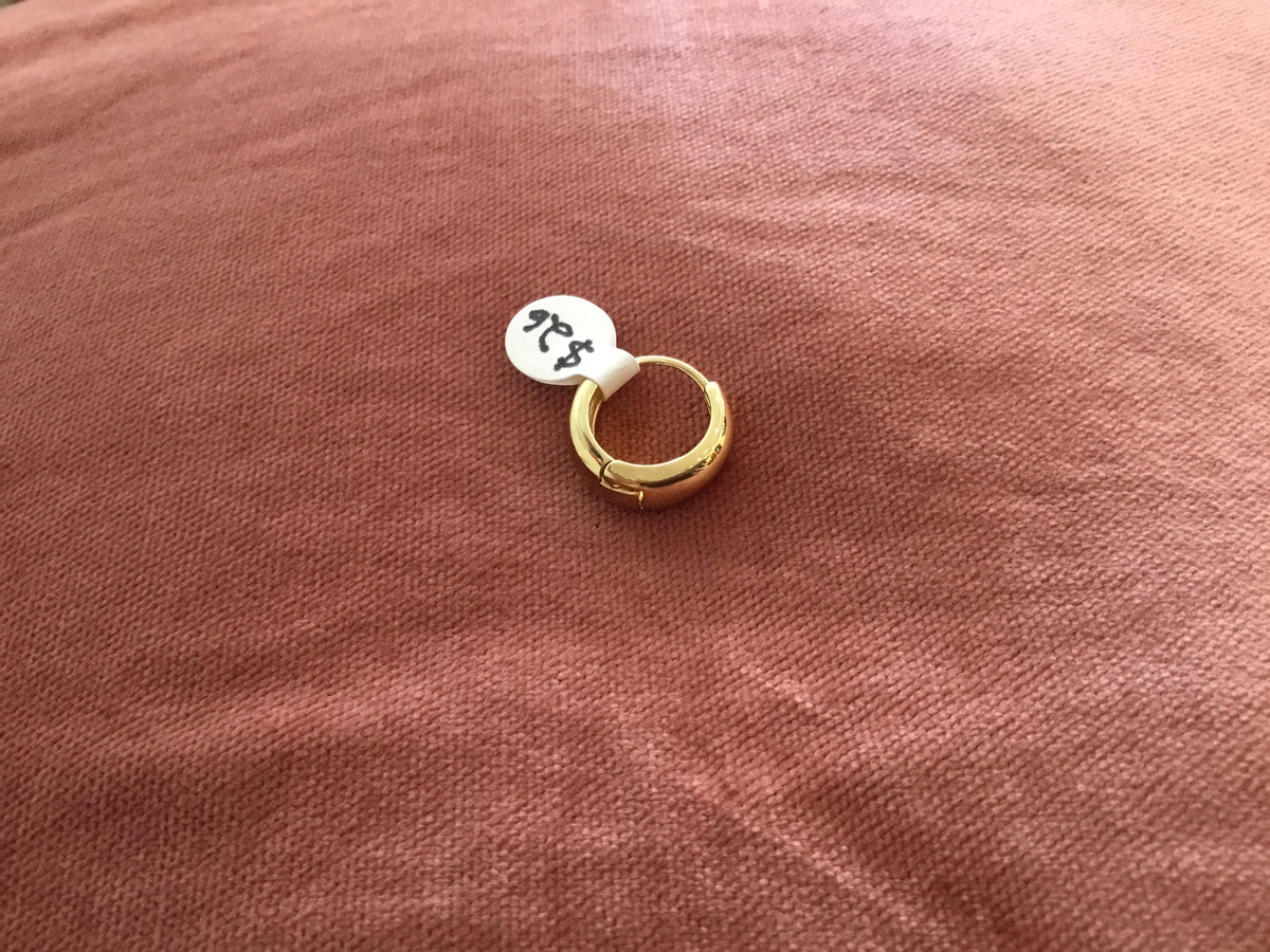 Splendid Iris Small Gold Hoops