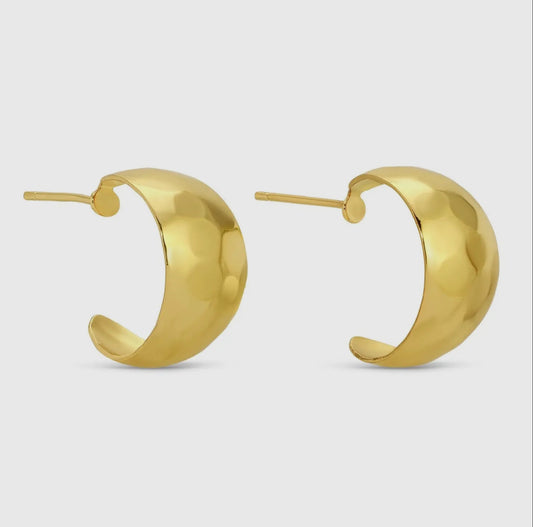 Splendid Iris Flat Crescent gold earring