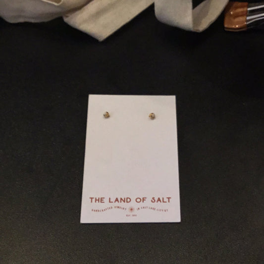 The land of salt stud earrings